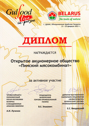 Diploma for active participation at the exhibition in Dubai